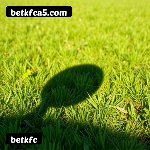 Jogo responsável betkfc - Ferramentas de controle, limites, auto-exclusão, suporte CVV 188